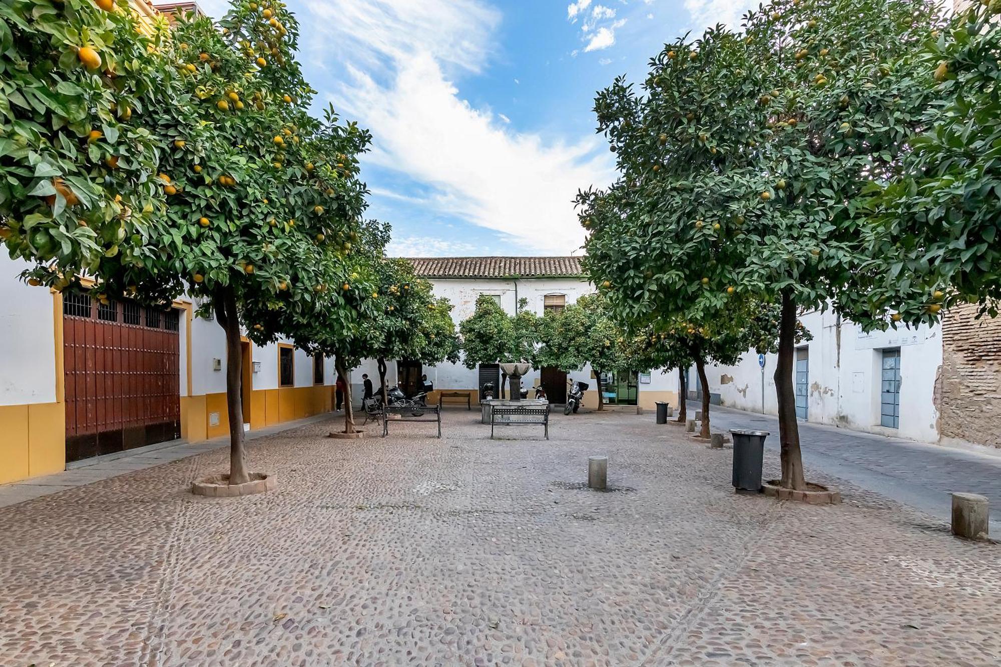 El yayo Pepe Apartment Kordoba Bagian luar foto